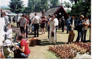 Tărgul Ceramicii Populare Românești ,,COCOȘUL DE HUREZ”, ediția XXXV, 10-12 iunie 2005
