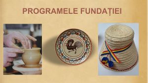 Programele fundației