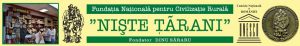 Banner FNȚ site mediu