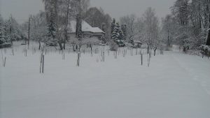Slătioara iarna